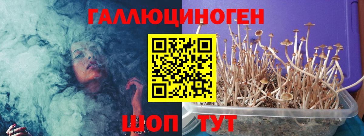 Псилоцибиновые грибы Psilocybine cubensis  Вход с VPN  Псилоцибиновые грибы мицелий  Старая Купавна 